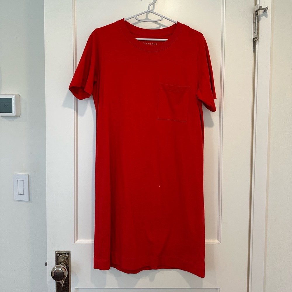 Everlane T shirt dress